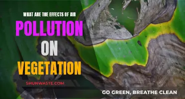 Air Pollution: Harming Our Green Friends