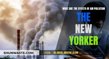 Air Pollution's Impact on New Yorkers' Health