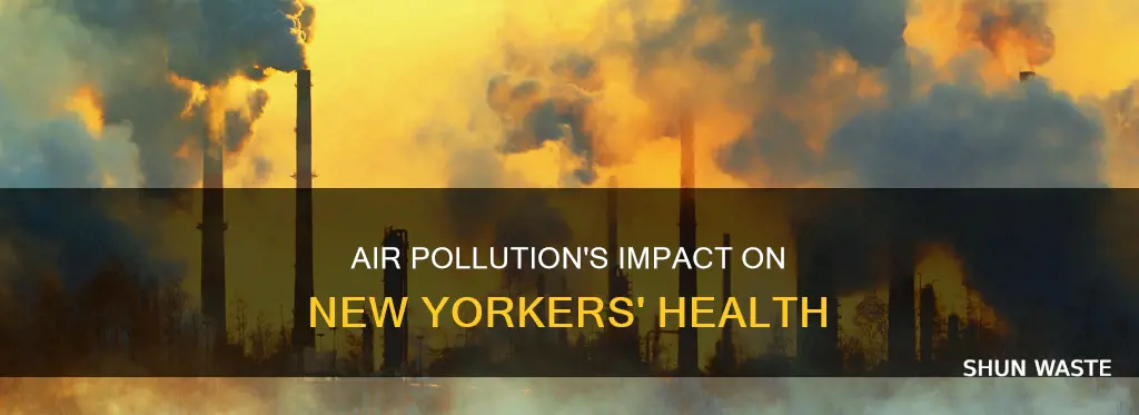 what are the effects of air pollution the new yorker