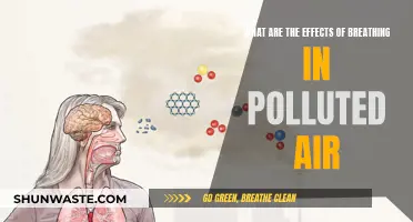 Breathing Polluted Air: Understanding the Devastating Health Effects