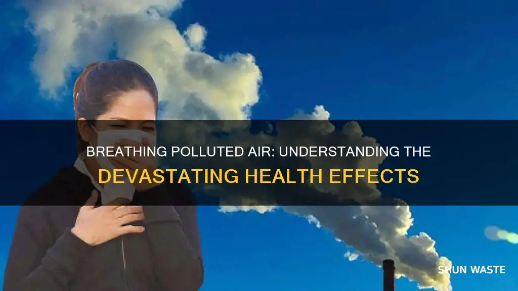 what are the effects of breathing in polluted air