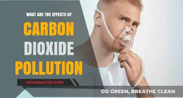 Carbon Dioxide Pollution: Its Effects and Our Future