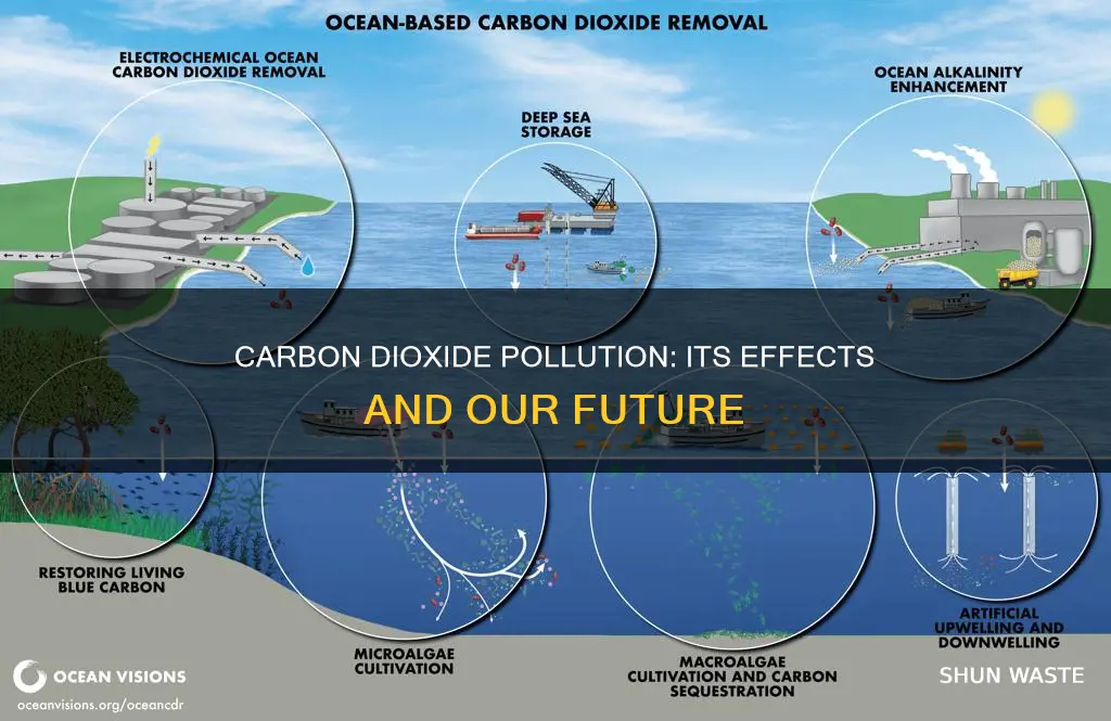 what are the effects of carbon dioxide pollution