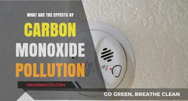 Carbon Monoxide Pollution: Understanding Its Deadly Impact