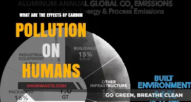 Carbon Pollution: Its Impact on Human Health