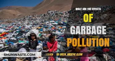 The Impact of Garbage Pollution on Our Planet