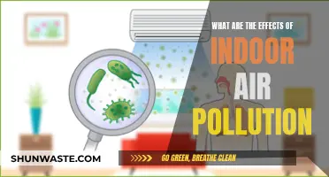 Air Pollution's Impact: The Danger Hiding in Your Home