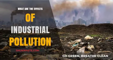 Industrial Pollution: Understanding Its Devastating Impacts