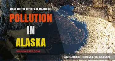 Alaska's Marine Oil Pollution: Understanding the Impact
