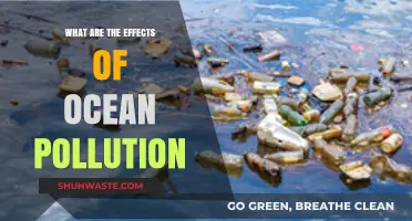 Ocean Pollution: Understanding the Devastating Impact
