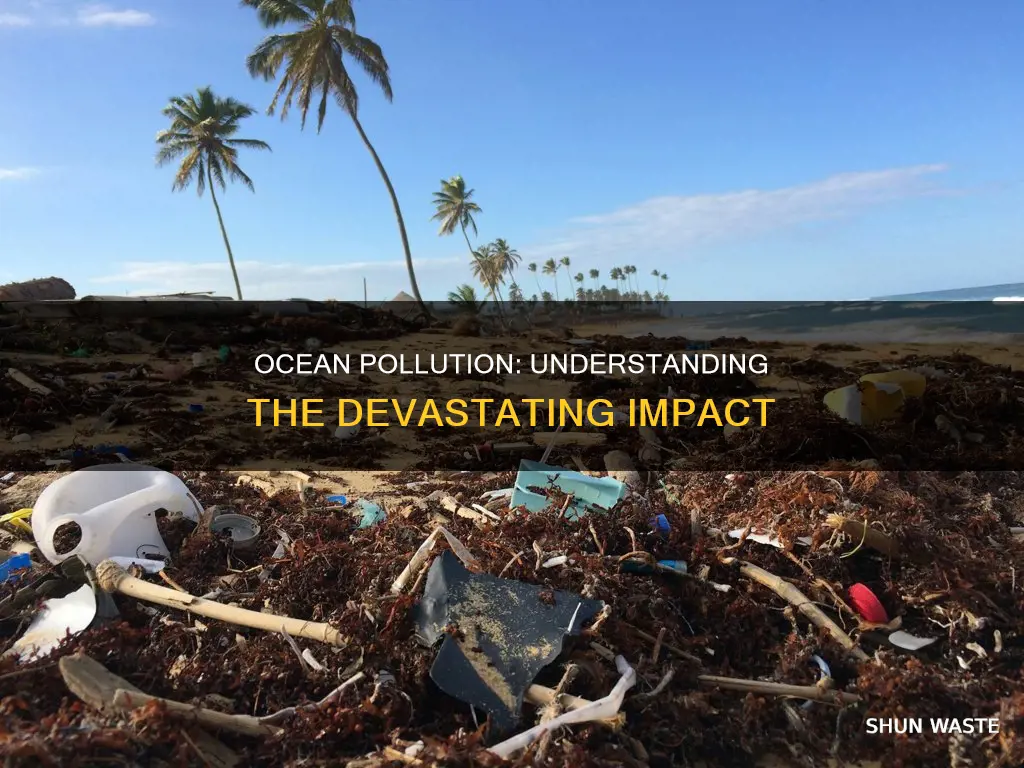 what are the effects of ocean pollution