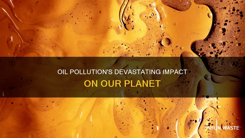 what are the effects of oil pollution