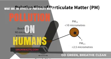 Particulate Matter Pollution: Harmful Effects on Human Health