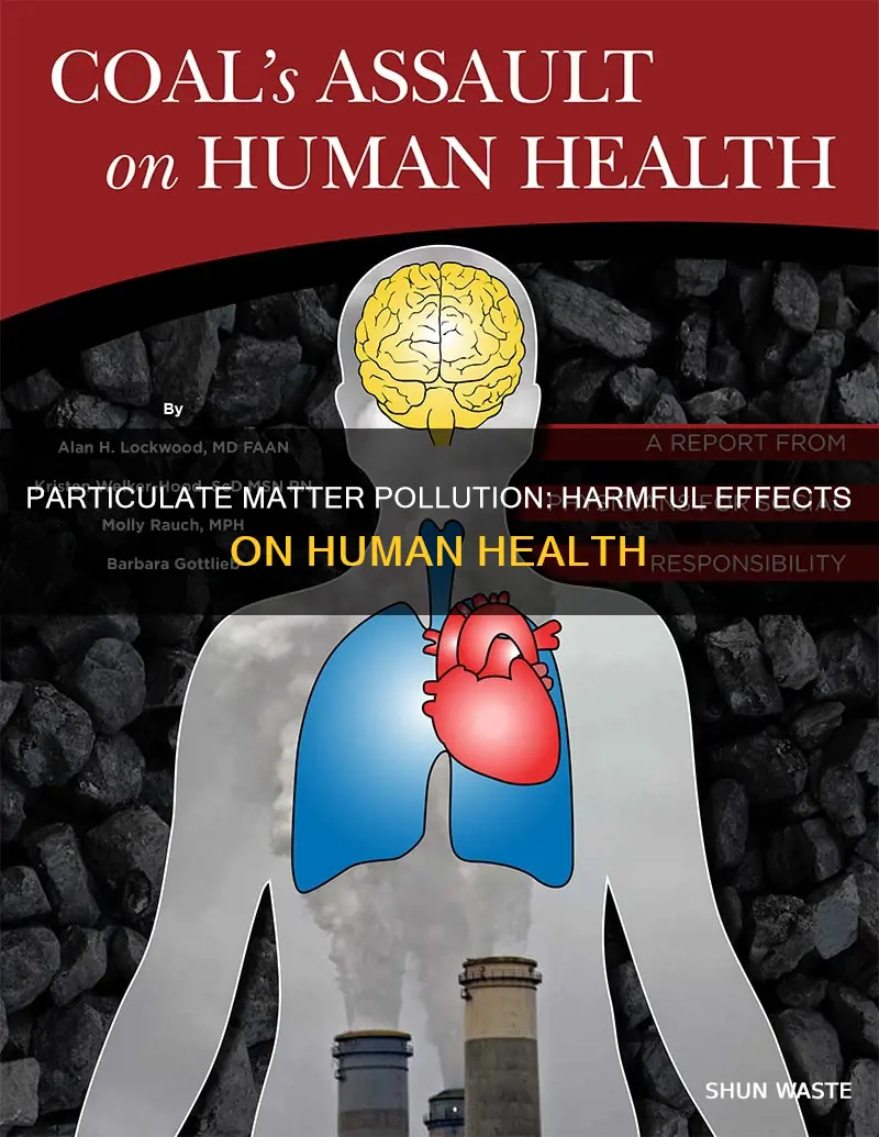 what are the effects of particulate matter pollution on humans