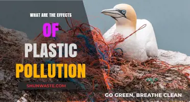 Plastic Pollution: A Toxic Legacy for Our Planet
