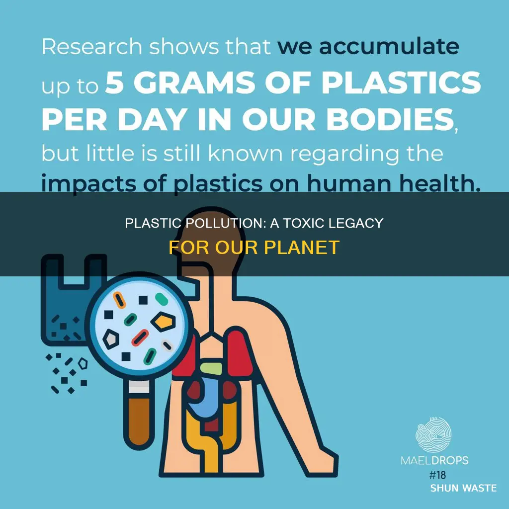 what are the effects of plastic pollution