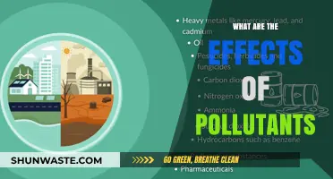 Air Pollutants: Damaging Our Health and Environment