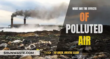 Air Pollution: Understanding Its Impact on Our Health and Environment