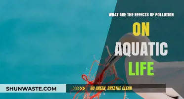 Pollution's Impact: Aquatic Life Endangered