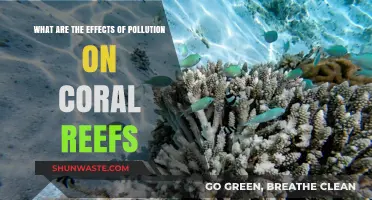 Pollution's Impact: Coral Reefs in Danger