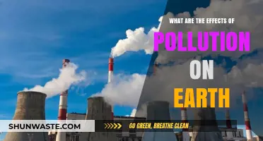 Pollution's Impact: Devastating Effects on Our Planet