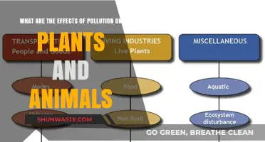 Pollution's Impact: Harming Nature's Balance