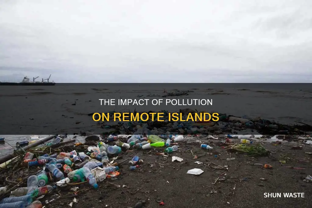 what are the effects of pollution on remote islands