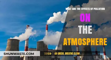 Pollution's Impact: The Atmosphere's Slow Poisoning