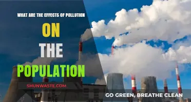 Pollution's Impact: Understanding the Devastating Effects on People
