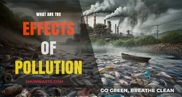 Pollution's Impact: Understanding the Devastating Effects
