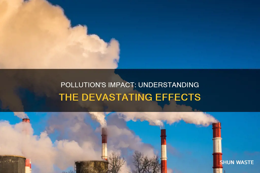 what are the effects of pollution