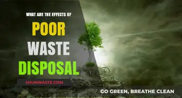 The Hidden Consequences: How Poor Waste Disposal Affects Our Environment and Health