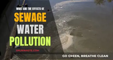 Unveiling the Impact: Sewage Water Pollution's Devastating Effects on Our Planet