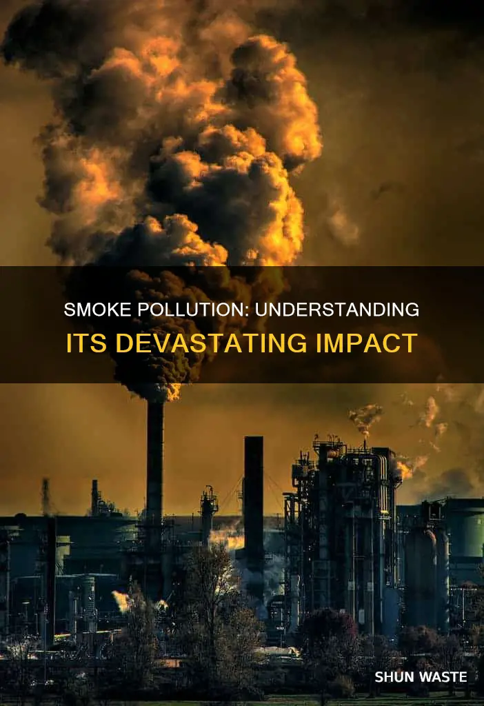 what are the effects of smoke pollution