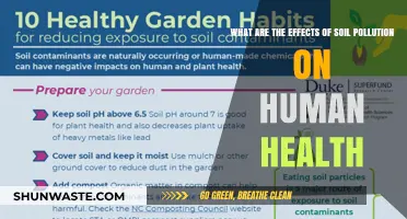 Soil Pollution: Understanding Its Impact on Human Health