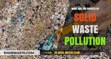 The Dark Side of Solid Waste: Environmental Impacts