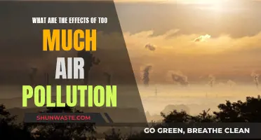 Air Pollution: Understanding the Devastating Impact