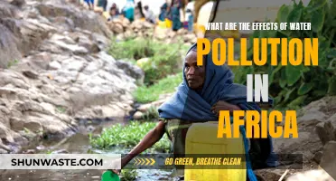 Africa's Water Crisis: Uncovering the Devastating Impact of Pollution