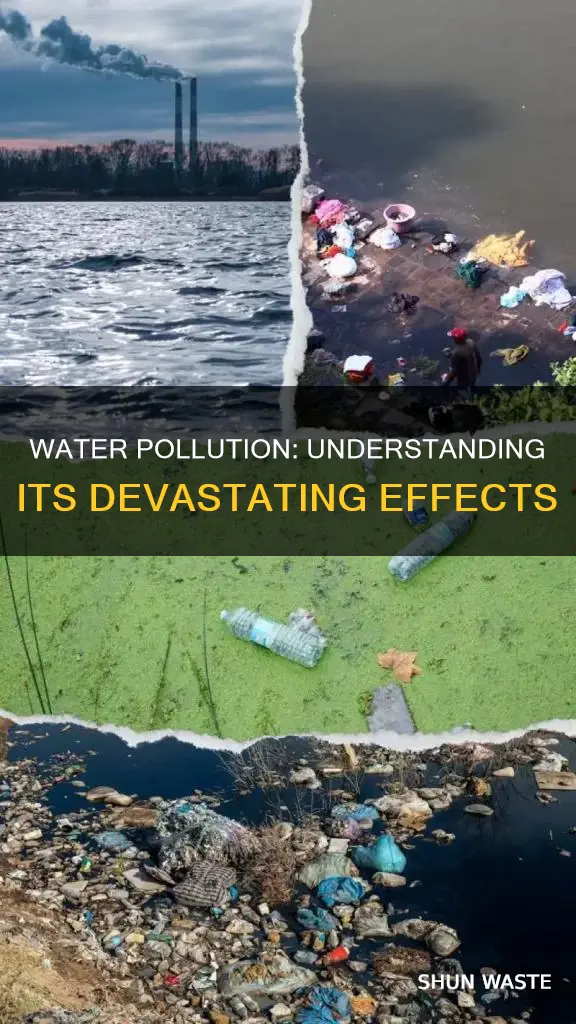 what are the effects of water pollution in points