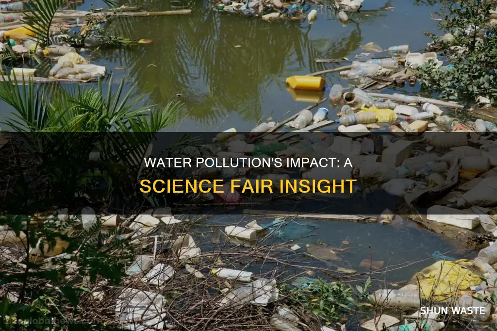what are the effects of water pollution science fair
