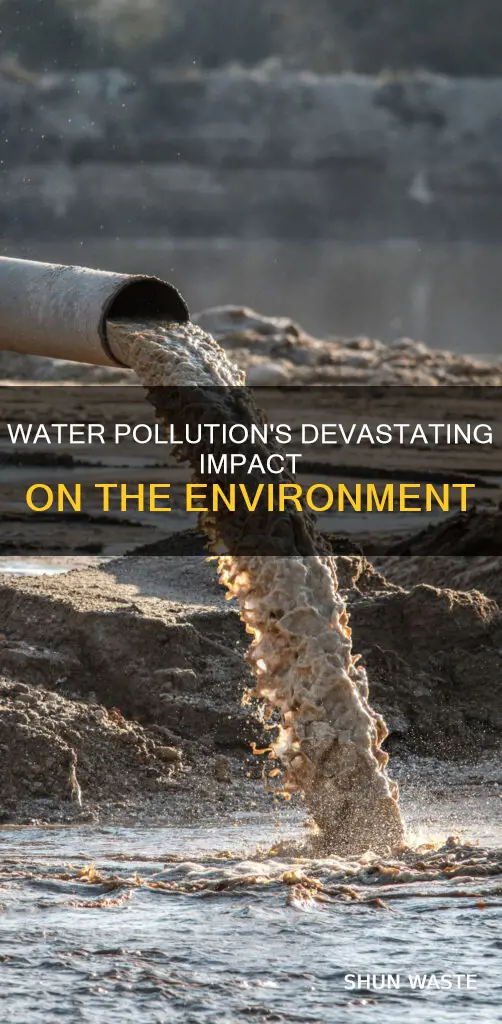 what are the effects of water pollution site 1