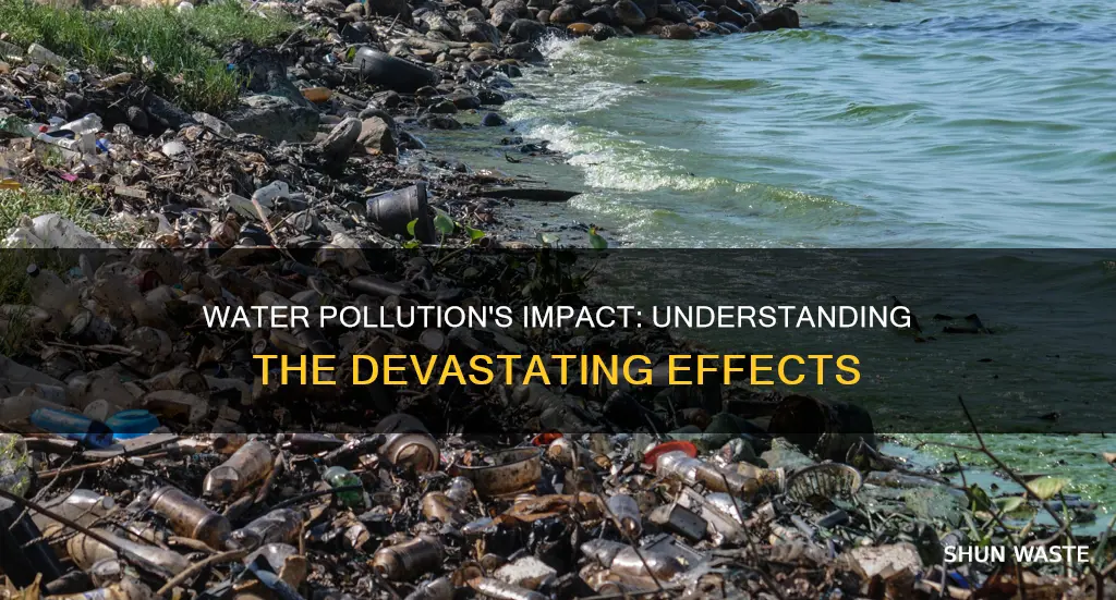 what are the effects of water pollution wikipedia