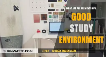 Crafting the Perfect Study Space: Key Elements for Success