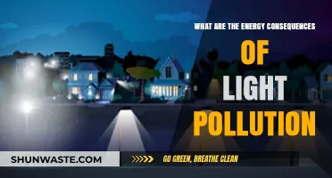 Light Pollution: Energy Wasted, Consequences Ignored