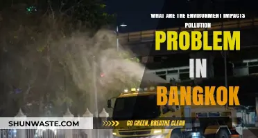Bangkok's Pollution: Environmental Impacts and Concerns