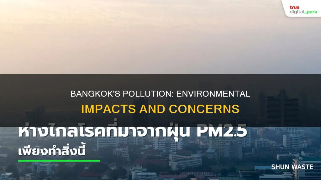 what are the environment impacts pollution problem in bangkok