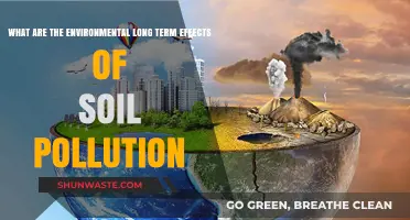 Soil Pollution: Long-Term Environmental Impacts and Concerns