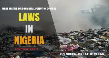 Nigerian Environmental Pollution Control: What Laws Exist?