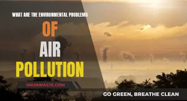 Air Pollution's Environmental Impact: A Critical Analysis
