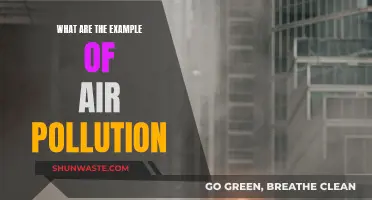 Air Pollution: Examples and Their Impact